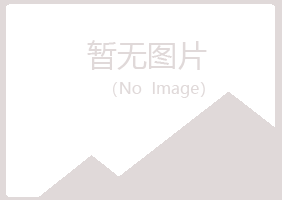 阳江江城冰夏房地产有限公司